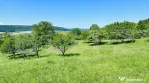 Teren 4879 mp, langa padure, zona Dobrovat