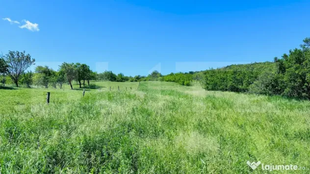 Teren 4879 mp, langa padure, zona Dobrovat