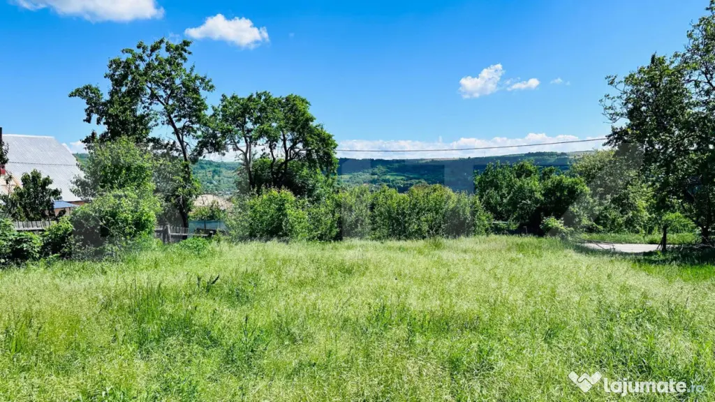 Teren 4879 mp, langa padure, zona Dobrovat