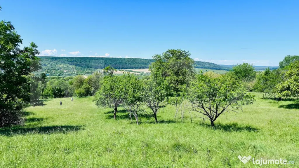 Teren 4879 mp, langa padure, zona Dobrovat