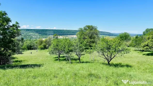 Teren 4879 mp, langa padure, zona Dobrovat