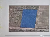 Teren Padure de l Otopeni-Petresti 