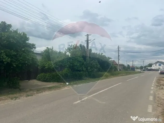 Casă 4 camere Bogza