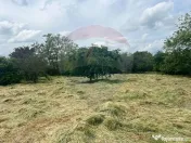 Casă 4 camere Bogza 