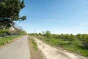 CORBEANCA - FICUSULUI, TEREN CONSTRUCTII, 13944 MP! 