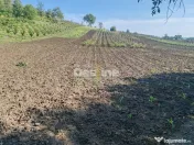 Spatiu comercial cu vad existent, Vaslui, Gura Bustei