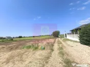 Teren pentru 2-3 case lângă București - Localitatea 1 ...