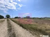 Teren pentru 2-3 case lângă București - Localitatea 1 ...