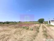 Teren pentru 2-3 case lângă București - Localitatea 1 ...