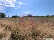 Teren pentru 2-3 case lângă București - Localitatea 1 ...