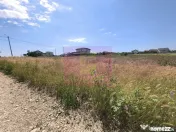 Teren pentru 2-3 case lângă București - Localitatea 1 ...