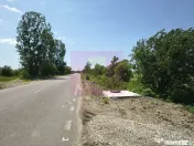 Teren pentru 2-3 case lângă București - Localitatea 1 ...