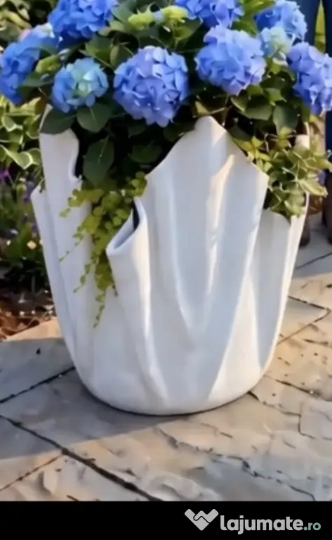 ghivece flori