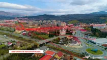 Hrana pentru caini, pisici si apartament 2 camere, zona buna