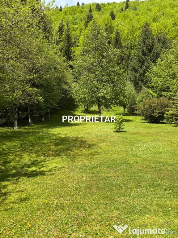 Vila superba Sinaia
