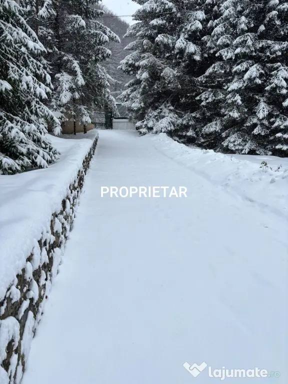 Vila superba Sinaia
