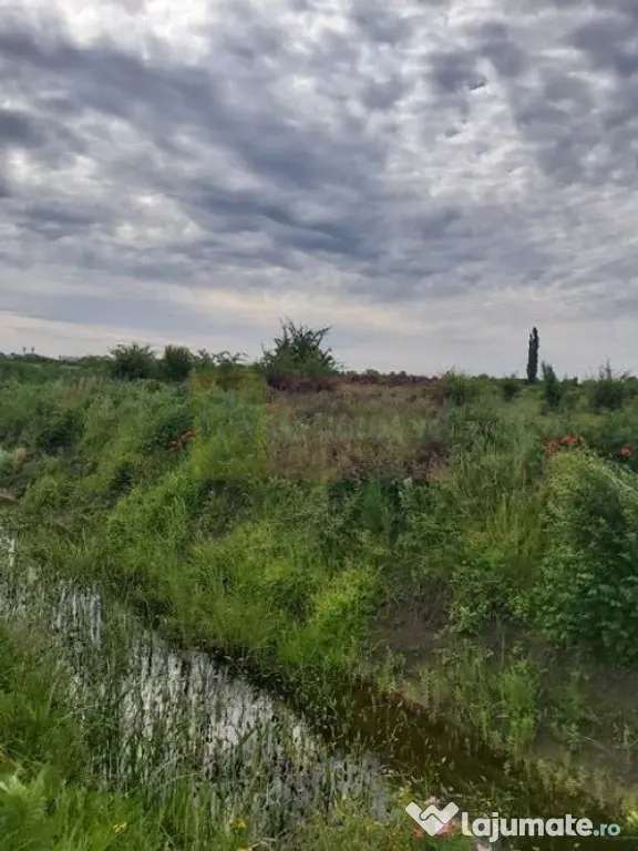 Teren Corbeanca- Drumul Garii Odai.