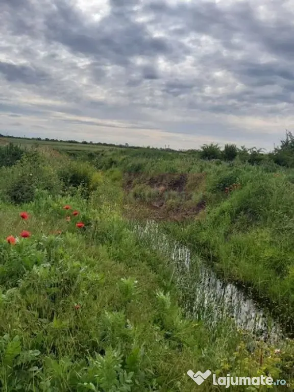 Teren Corbeanca- Drumul Garii Odai.