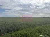 Teren Corbeanca- Drumul Garii Odai. 