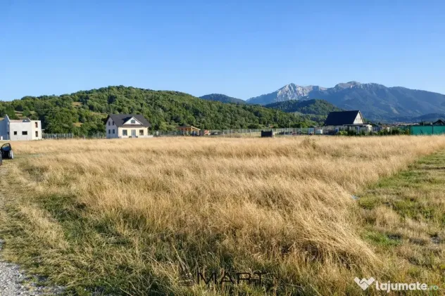Teren intravilan 1000 mp Rasnov
