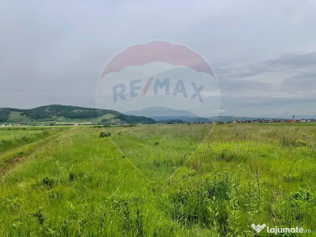 Comision 0% | 4 Parcele 538mp | Harman, Strada MIHAIL SAD...