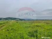 Comision 0% | 4 Parcele 538mp | Harman, Strada MIHAIL SAD... 