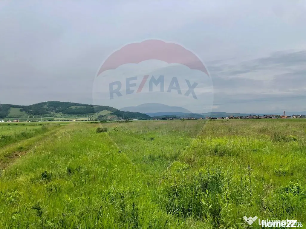 Comision 0% | 4 Parcele 538mp | Harman, Strada MIHAIL SAD...