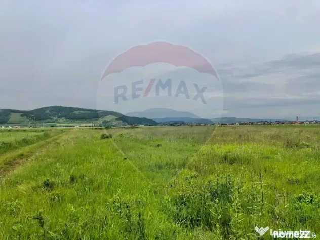 Comision 0% | 4 Parcele 538mp | Harman, Strada MIHAIL SAD...