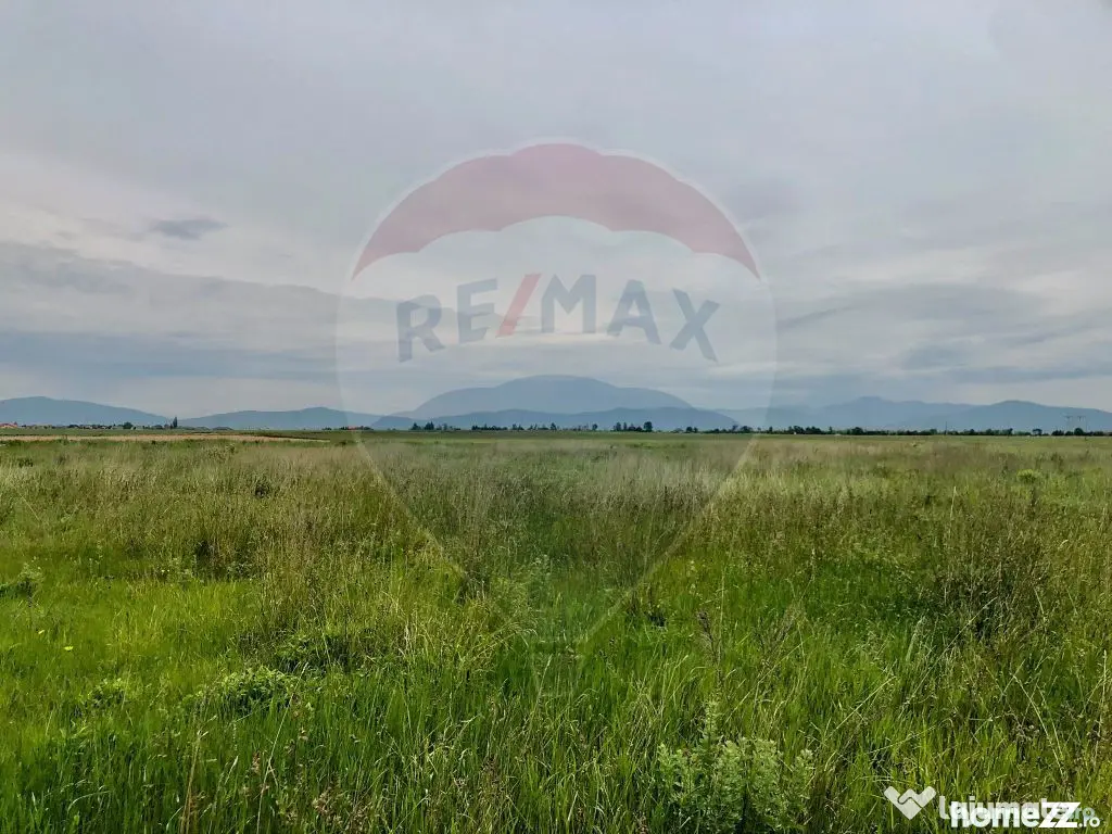Comision 0% | 4 Parcele 538mp | Harman, Strada MIHAIL SAD...