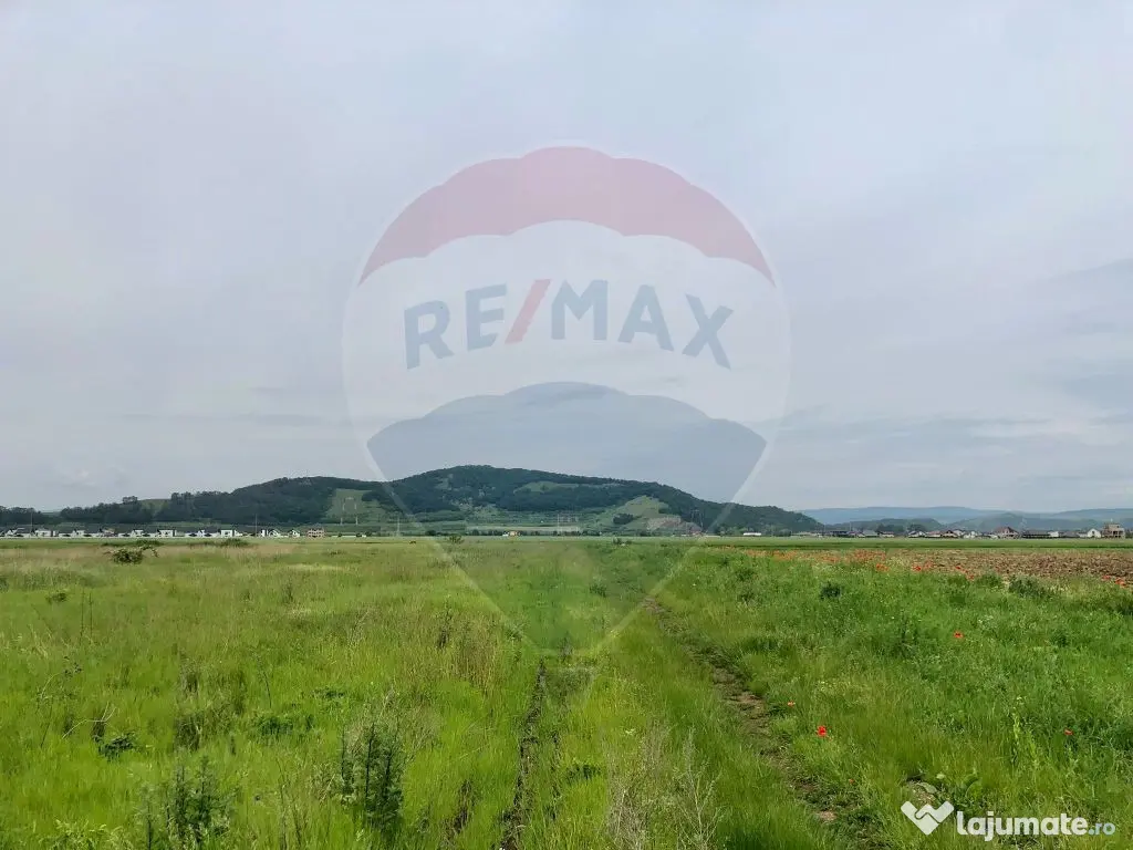 Comision 0% | 4 Parcele 538mp | Harman, Strada MIHAIL SAD...