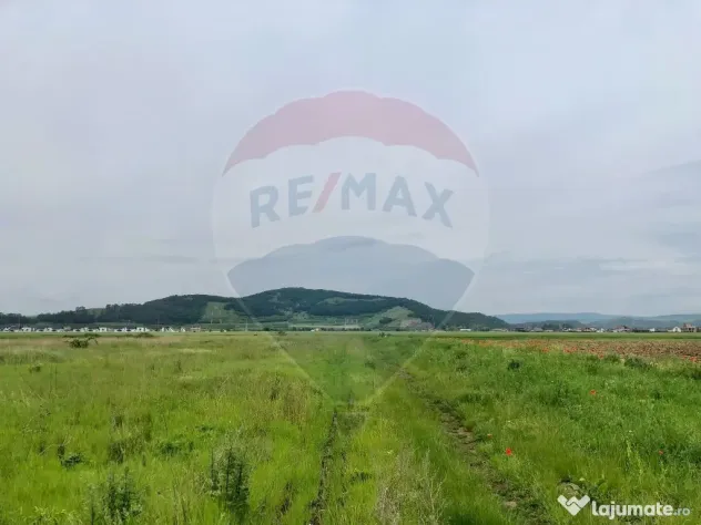 Comision 0% | 4 Parcele 538mp | Harman, Strada MIHAIL SAD...