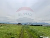 Comision 0% | 4 Parcele 538mp | Harman, Strada MIHAIL SAD...