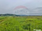Comision 0% | 4 Parcele 538mp | Harman, Strada MIHAIL SAD...