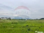 Comision 0% | 4 Parcele 538mp | Harman, Strada MIHAIL SAD... 
