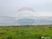 Comision 0% | 4 Parcele 538mp | Harman, Strada MIHAIL SAD... 