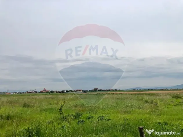 Comision 0% | 4 Parcele 538mp | Harman, Strada MIHAIL SAD...