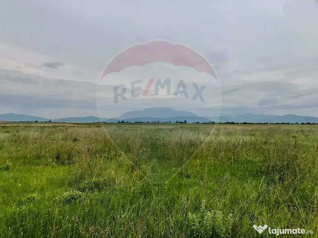 Comision 0% | 4 Parcele 538mp | Harman, Strada MIHAIL SAD...