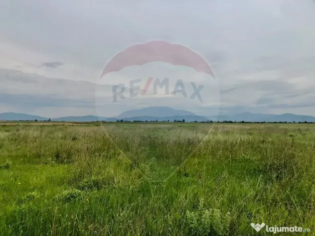 Comision 0% | 4 Parcele 538mp | Harman, Strada MIHAIL SAD...