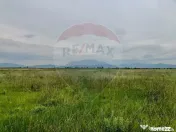 Comision 0% | 4 Parcele 538mp | Harman, Strada MIHAIL SAD... 