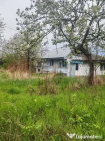 Teren intravilan in suprafata de 3160 mp, Puscasi, Poiana lu