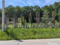 ???? Teren intravilan cu Panoramă Superbă Aătre Pădure ? 
