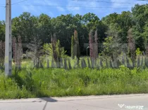 Hulubești, Butoiu de Jos Teren intravilan cu Panoramă Sup