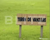Teren de vanzare extravilan, 53 ari, Scheia