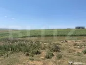 Teren de vanzare extravilan, 53 ari, Scheia