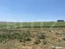 Teren extravilan de vanzare, 53 ari, Scheia