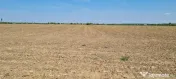 Teren pentru proiect de case in Buftea, cu deschidere la lac 