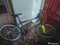 Bicicleta Mountain bike 