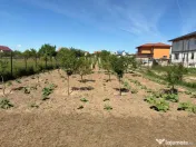 Teren de vânzare în Cernele – 1000 mp, parcelabil, ideal 