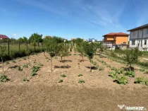 Teren de vânzare în Cernele – 1000 mp, parcelabil, ideal