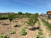 Teren de vânzare în Cernele – 1000 mp, parcelabil, ideal 